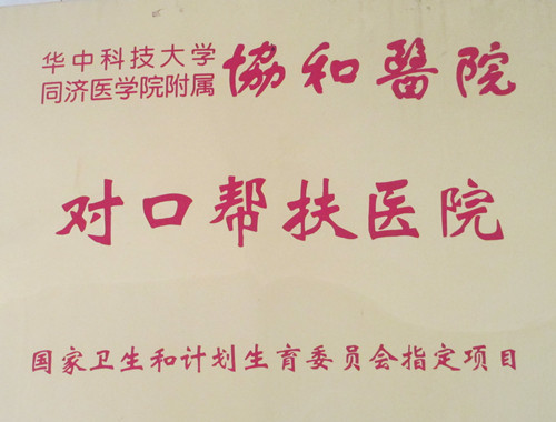 华中科技大学同济医学院附属协和医院对口帮扶医院