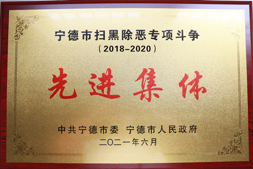 全市扫黑除恶专项斗争先进集体