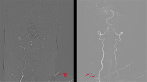 微信图片_20240410110416.jpg