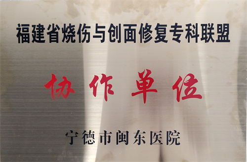 福建省烧伤与创面修复专科联盟协作单位.jpg